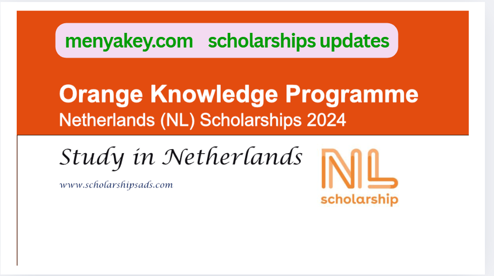 Netherlands Orange Knowledge Programme (OKP) – A Life-Changing Opportunity for African Students